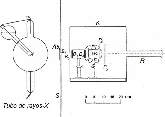 Fig4CRX.jpg